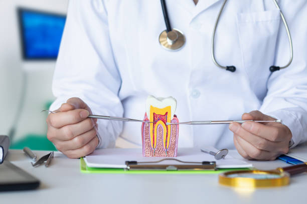 Best Urgent Dental Care for Toothaches in Haw River, NC